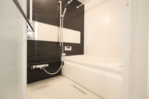 Ｇｅｎｔｅ　Ｍ 0202号-7