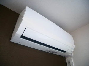 デュランタ 0101号-12