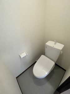 メゾン　ド　さくら 0203号-10