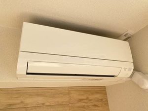 ラウレア 0105号-4