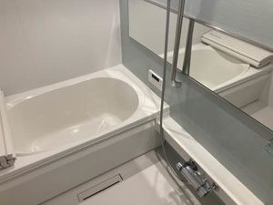 Ａｍａｐｏｌａ（アマポーラ） 0102号-6