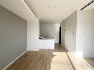 Ａｍａｐｏｌａ（アマポーラ） 0205号-2