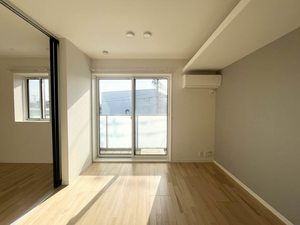 Ａｍａｐｏｌａ（アマポーラ） 0205号-3