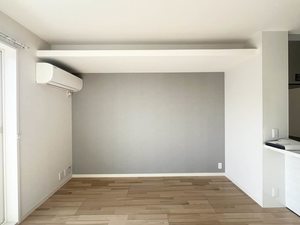 Ａｍａｐｏｌａ（アマポーラ） 0205号-5