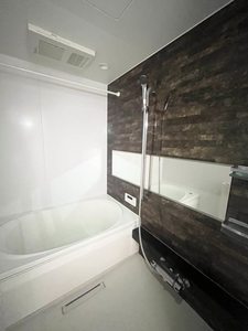 Ａｍａｐｏｌａ（アマポーラ） 0205号-11