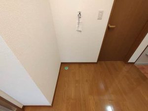 メゾンコンフォート 0202号-9