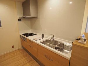 Ｔｈｅ　Ｇｒａｎ　Ｍｏｏｎ 0205号-10