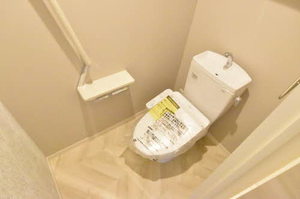 Ｇｒａｎｄ　ｓｏｌｅｉｌ　ＹＡＭＡＳＨＩＮＡ 0105号-12