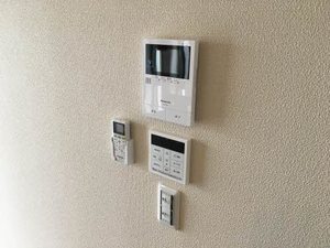 セレナヴィラ中川 0101号-8