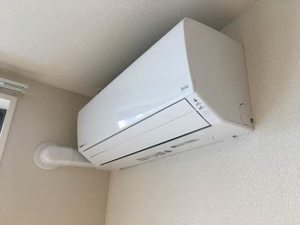 セレナヴィラ中川 0102号-4