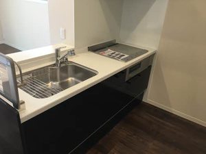 セレナヴィラ中川 0103号-5