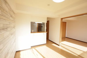 ブルースカイマンションⅦ 0403号-2