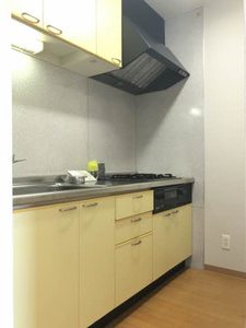 ヴェルチュ金山 0302号-6