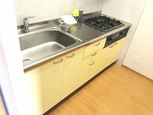 ヴェルチュ金山 0302号-7