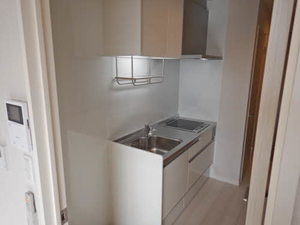 ＣｏｚｙＨｕｔ江 0201号-3