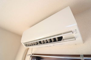 フィオーレマキ 003B号-15