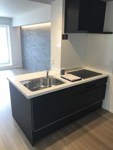 コスモメゾン 0301号-9