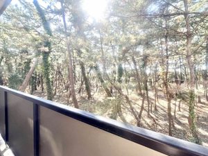 グランメール千本 D206号-12