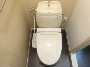 善ビレッジＣ 0107号-8