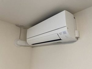 ベレオ栄 0101号-4