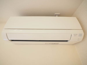 Ｓｅｒｄｉｎａ　Ｋｏｓａｋｕｒａ 0303号-12