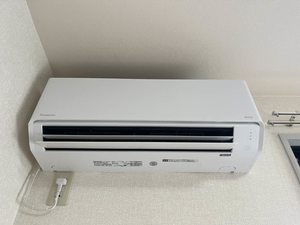 ジュネス徳川 0201号-9