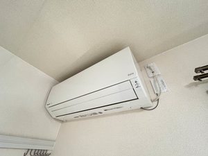 ディアス２１ 0101号-2