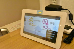 Ｃｕｌｌｉｎａｎ金澤（カリナン金澤） 0206号-10