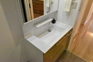 Ｃｕｌｌｉｎａｎ金澤（カリナン金澤） 0206号-11