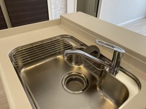 Ｒｅｆｉｓｉａ　Ｓｉｒａｔｏｒｉ 0302号-9