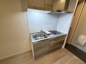 フラットベガ 0201号-3