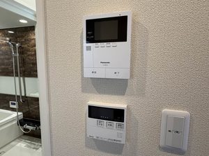 フラットベガ 0201号-7