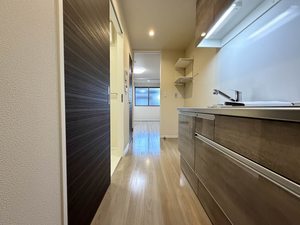 フラットベガ 0201号-11