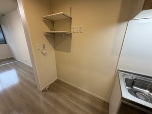 フラットベガ 0202号-8