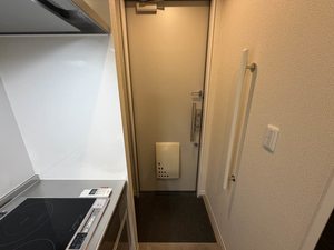 フラットベガ 0202号-9