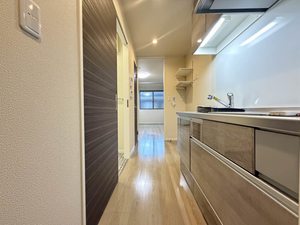 フラットベガ 0202号-10