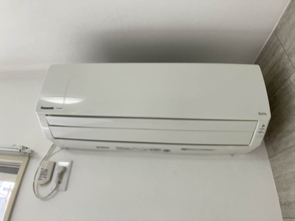 ほうれんそう 0105号-3