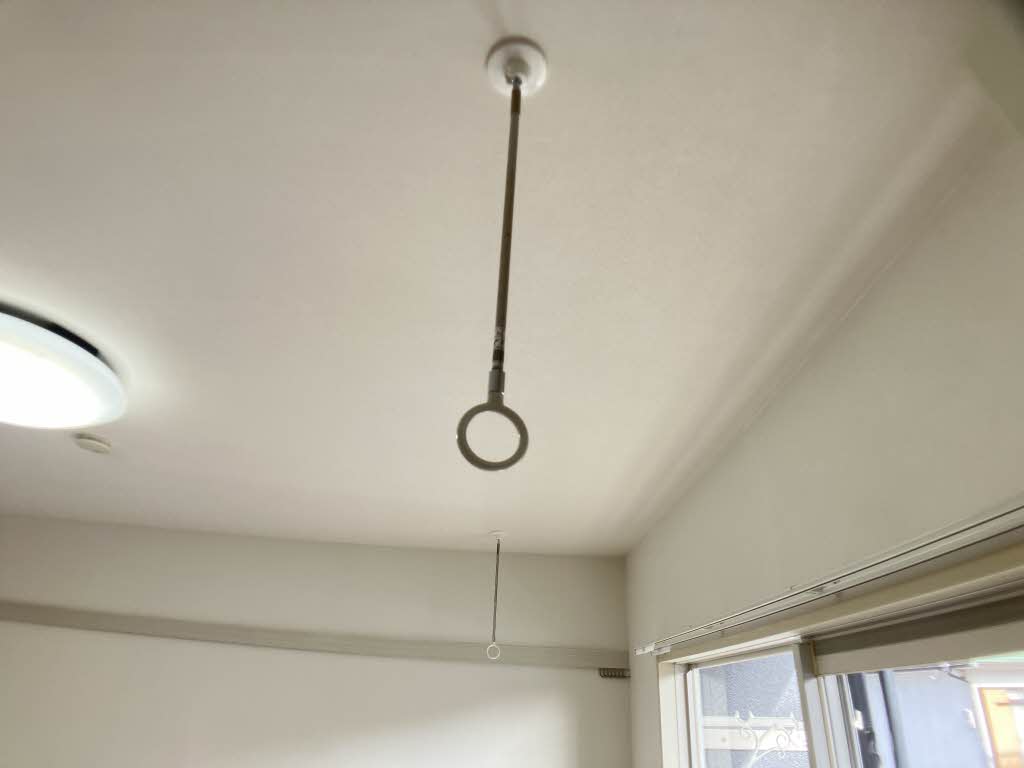 ほうれんそう 0105号-4