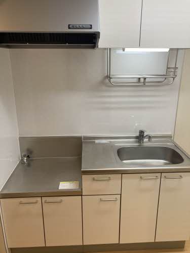 ほうれんそう 0206号-7