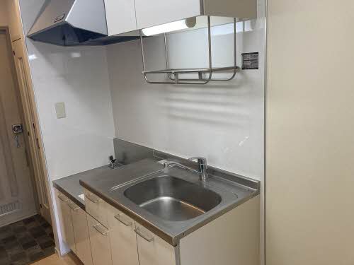 ほうれんそう 0206号-8