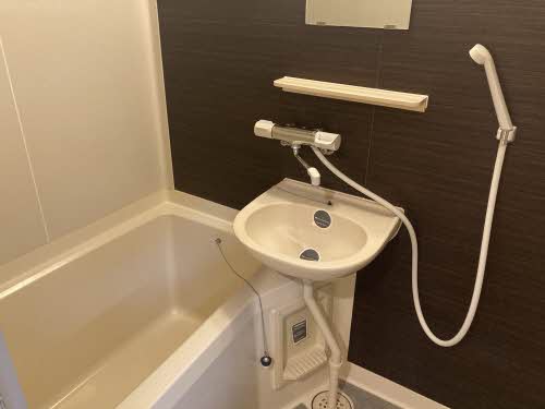 ほうれんそう 0206号-10