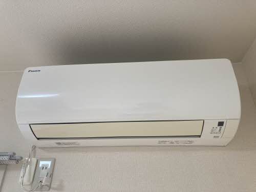 ほうれんそう 0206号-12