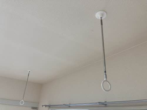 ほうれんそう 0206号-14