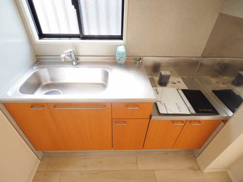 アムール 0101号-9