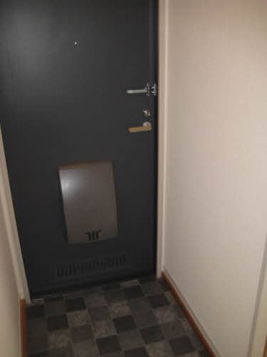 アムール 0201号-3