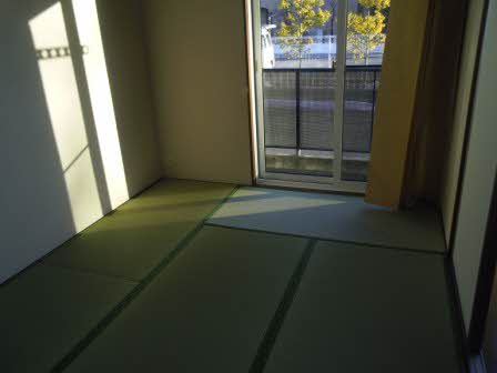 バリュージュＹ＆Ｍ 0102号-6