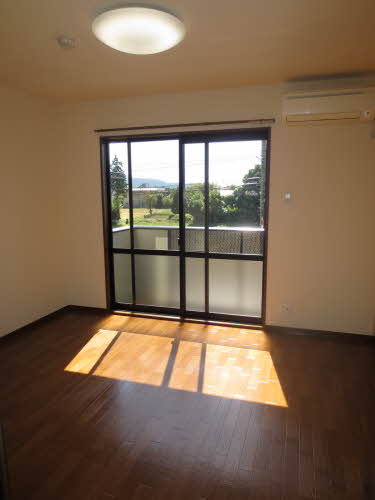 サンフラワー 0201号-10