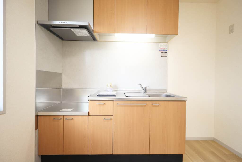 サングレイス 001D号-2