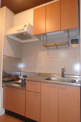 コスモスⅠ 1202号-6