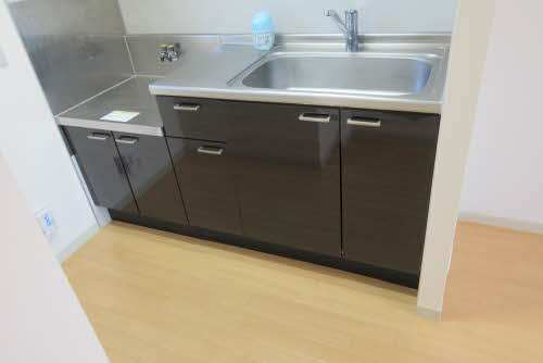 ドリームハイム 0201号-5